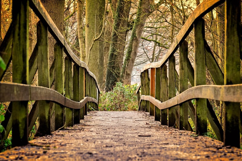Bridges